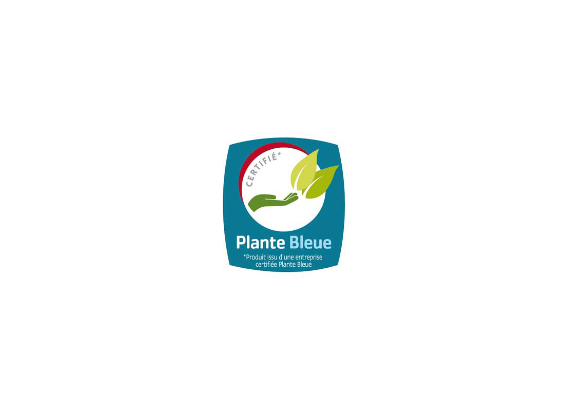 logo plante bleue